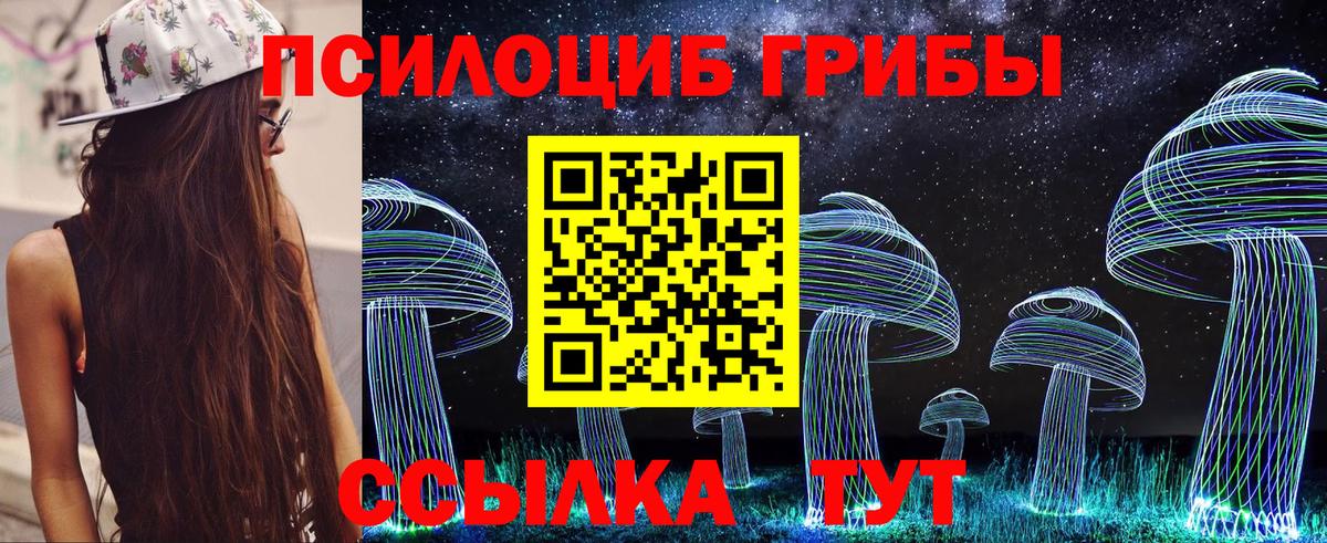 как найти наркотики  Вход с VPN  Шумерля  Псилоцибиновые грибы мицелий  Галлюциногенные грибы ЛСД 